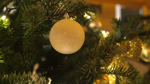 有关假期, 圣诞树, 季节的免费素材视频
