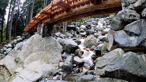 有关和平的, 天性, 宁静的免费素材视频