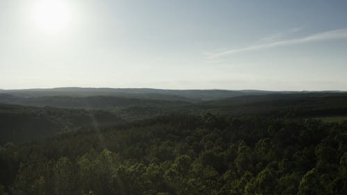 有关天性, 天空, 太阳光线的免费素材视频