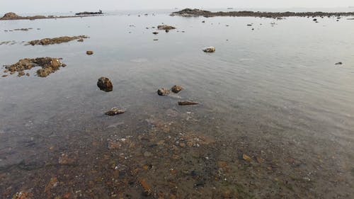 有关天性, 岩石, 岸边的免费素材视频