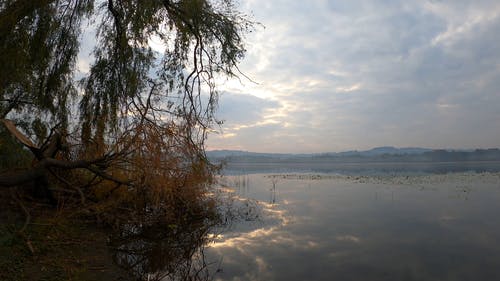 有关天性, 山背景, 平静的水面的免费素材视频