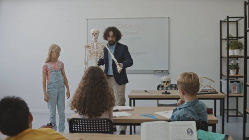 有关人体骨骼, 儿童, 回到学校的免费素材视频