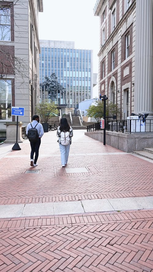 有关一起, 同学, 垂直视频的免费素材视频