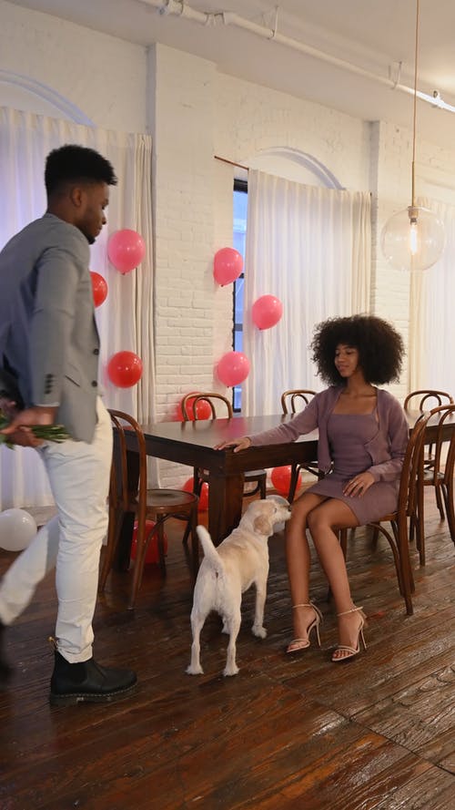 有关一对, 人, 在家的免费素材视频