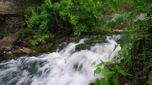 有关天性, 小河, 岩石的免费素材视频