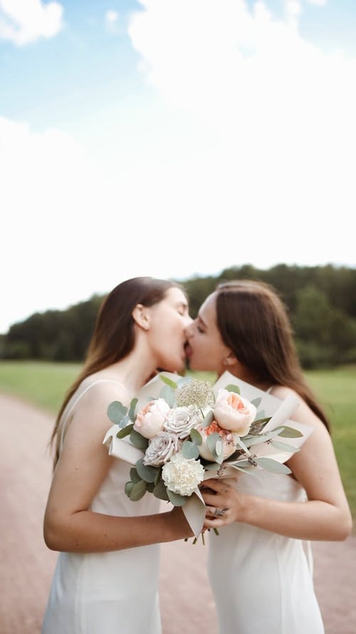 有关一对, 同志, 同志文化的免费素材视频