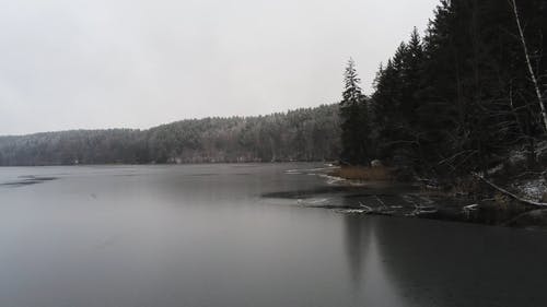 有关下雪的, 冬天的背景, 冬季的免费素材视频