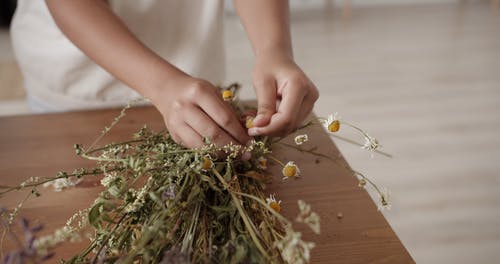 有关乾燥, 人, 室内的免费素材视频