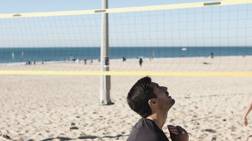 有关一起, 团队, 夏天的免费素材视频