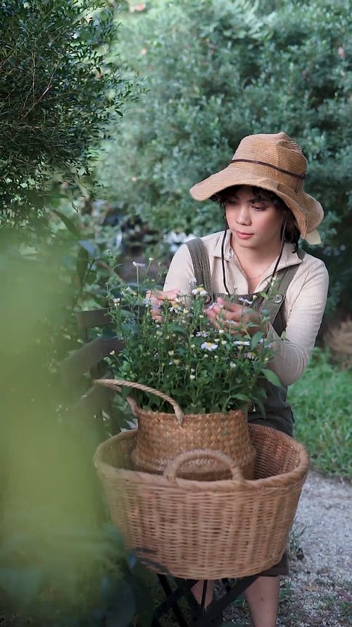 有关人, 修剪花草, 园丁的免费素材视频