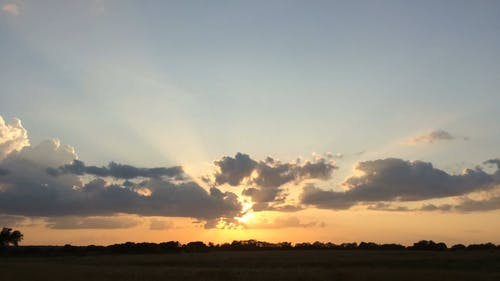 有关优美的风景, 农业用地, 农业领域的免费素材视频