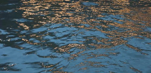 有关反射, 天性, 户外的免费素材视频