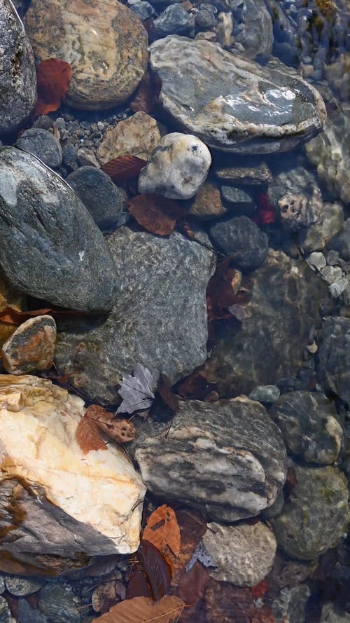 有关垂直视频, 天性, 岩石的免费素材视频