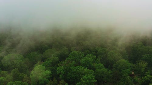 有关天性, 山, 户外的免费素材视频