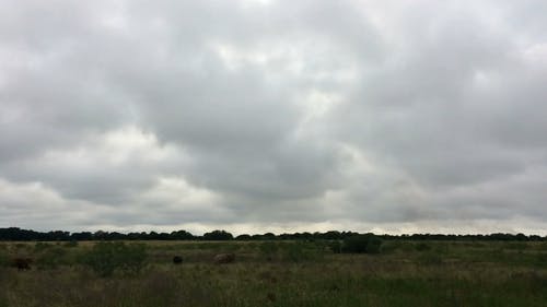 有关天性, 天空, 延时视频的免费素材视频