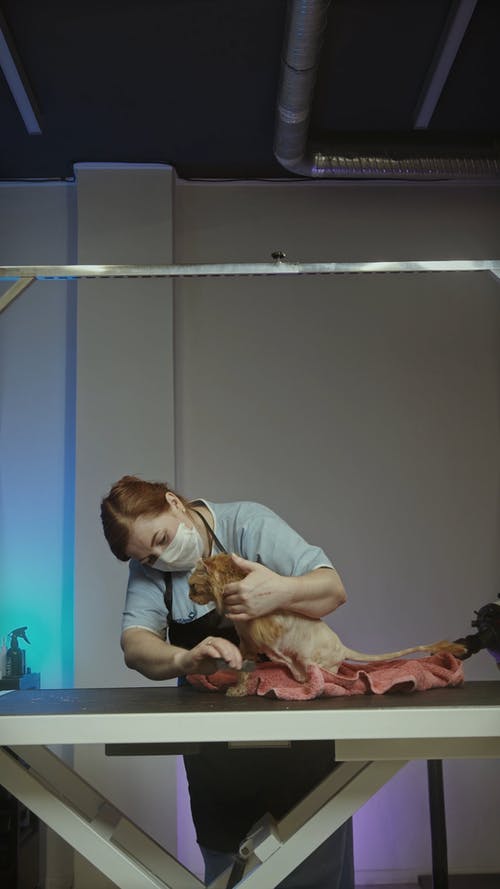 有关人, 可爱, 可爱的的免费素材视频