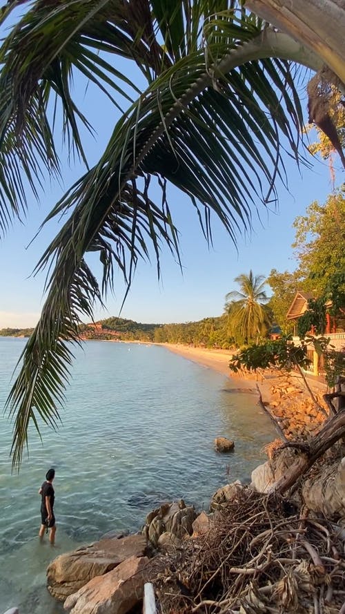 有关人, 假期, 冷静的免费素材视频