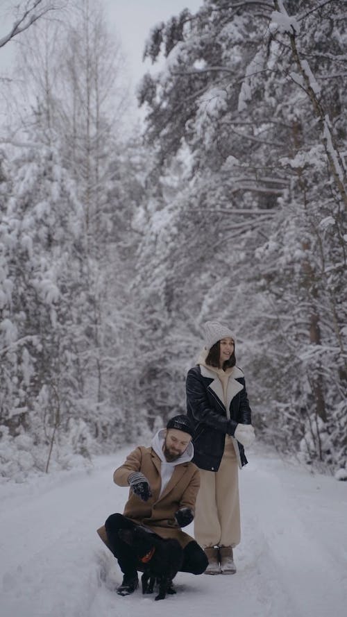 有关一对, 下雪, 人的免费素材视频