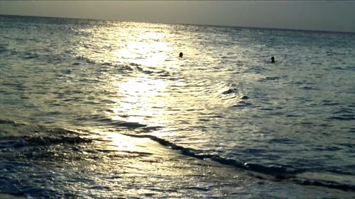 有关休闲, 加勒比海, 岸边的免费素材视频