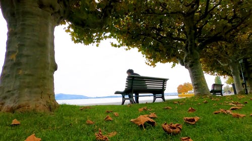 有关人, 低角度拍摄, 公园的免费素材视频