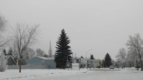 有关交通系统, 冬季, 天性的免费素材视频