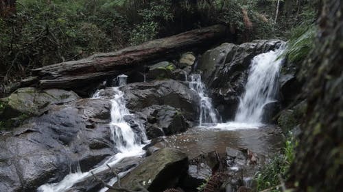 有关天性, 岩石, 急流的免费素材视频