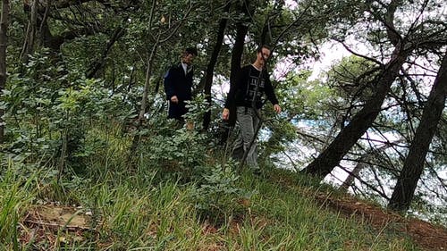 有关一对, 一起, 人的免费素材视频