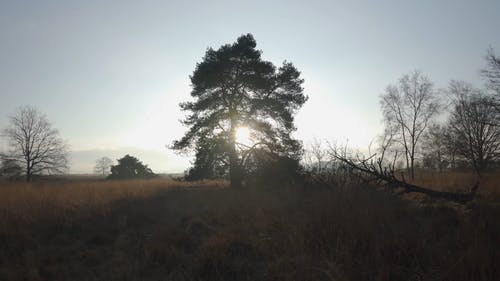 有关@户外, 土地, 天性的免费素材视频