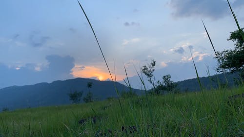 有关天性, 山, 户外的免费素材视频