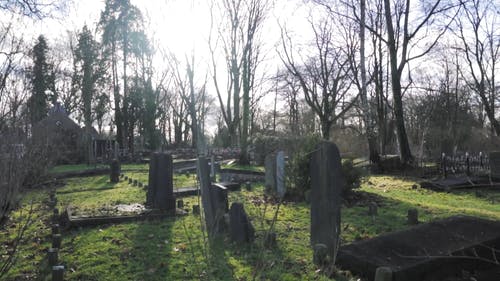 有关和平, 墓园, 墓碑的免费素材视频