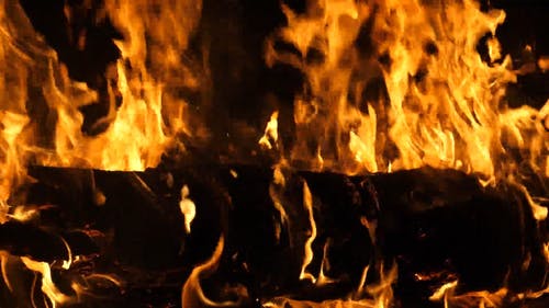 有关升火的木柴, 原本, 大火的免费素材视频