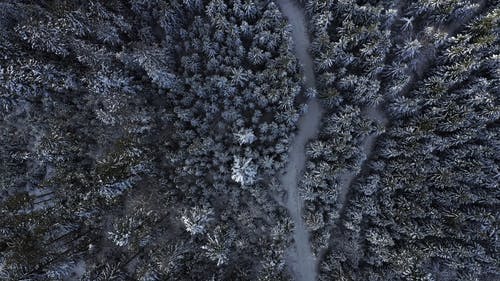 有关冬季, 冷, 天的免费素材视频