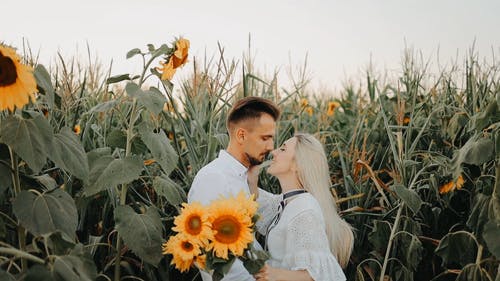 有关一对, 人, 向日葵的免费素材视频
