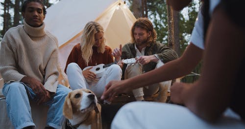 有关glamping, 一对, 一群朋友的免费素材视频