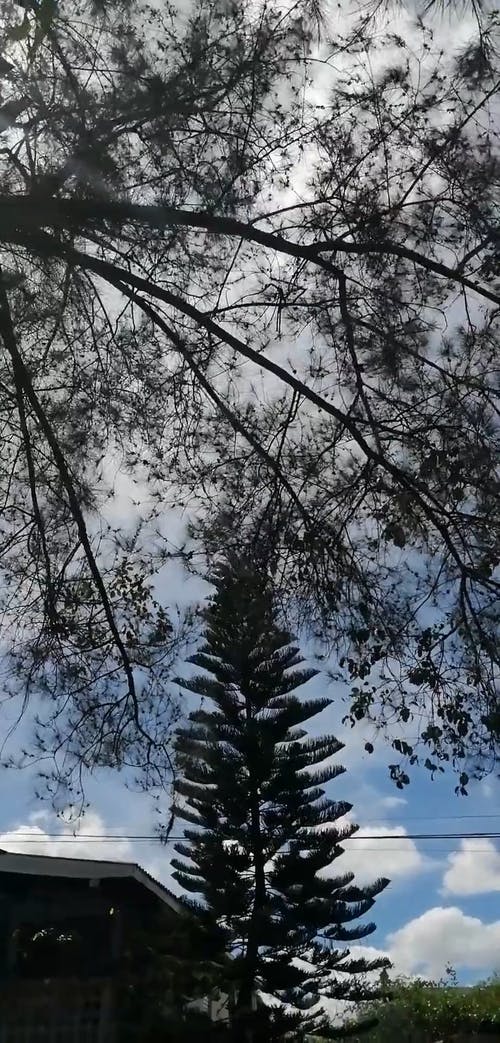 有关低角度拍摄, 充满活力, 垂直视频的免费素材视频