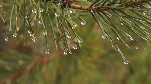 有关地平线, 天性, 思考的免费素材视频