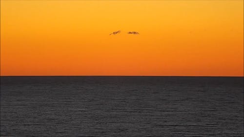 有关天空, 户外, 招手的免费素材视频