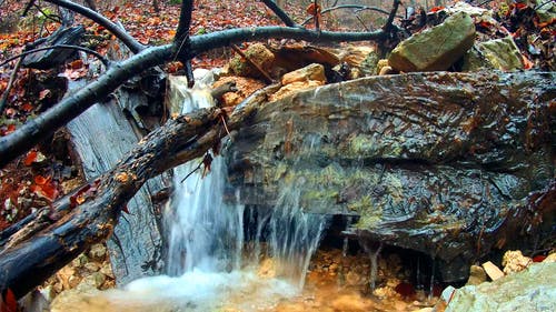 有关天性, 季节, 工厂的免费素材视频