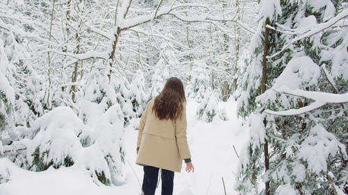 有关下雪, 冬季, 冬衣的免费素材视频