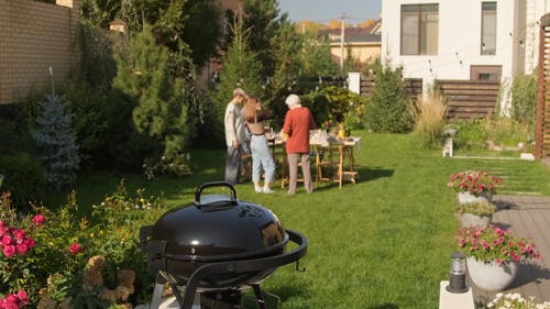 有关多民族, 後院, 朋友的免费素材视频