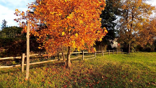 有关天性, 天空, 户外的免费素材视频