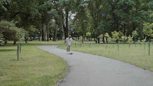有关人, 休闲, 公园的免费素材视频