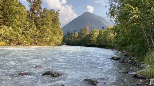 有关丛林, 天性, 岩石的免费素材视频