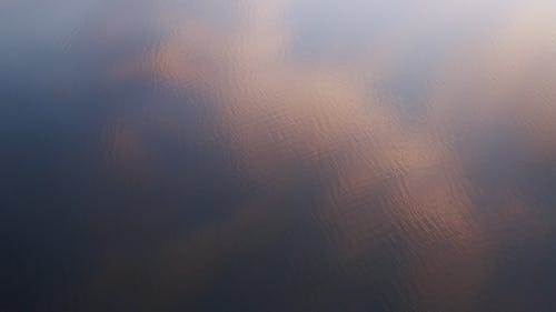 有关天性, 广角拍摄, 户外的免费素材视频