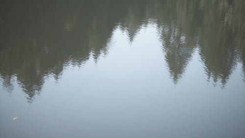 有关冷静, 反射, 安静的免费素材视频