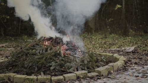 在火坑上燃烧叶子 · 免费素材视频