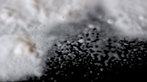 有关极端特写镜头, 毛茸茸的, 泡沫的免费素材视频