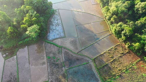 有关下田, 农业用地, 和平的的免费素材视频