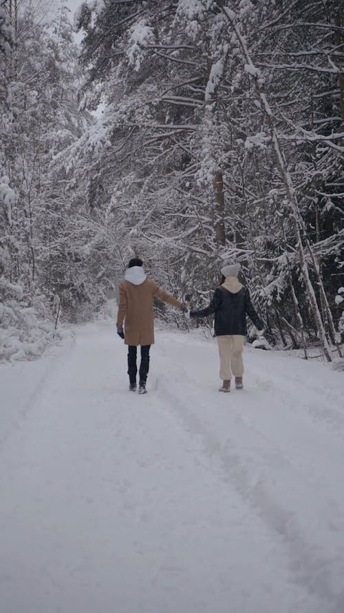 有关一对, 人, 冬季的免费素材视频