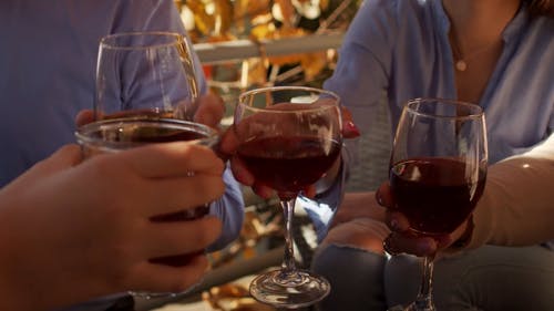 一家人喝红酒 · 免费素材视频